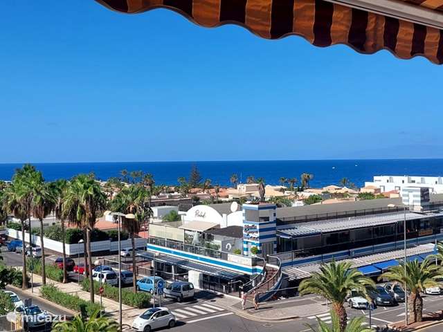 Holiday home in Spain, Tenerife, Palm Mar - apartment Pura Vida
