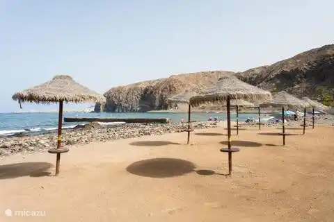 Chiringuito chiringuito Palm-Mar