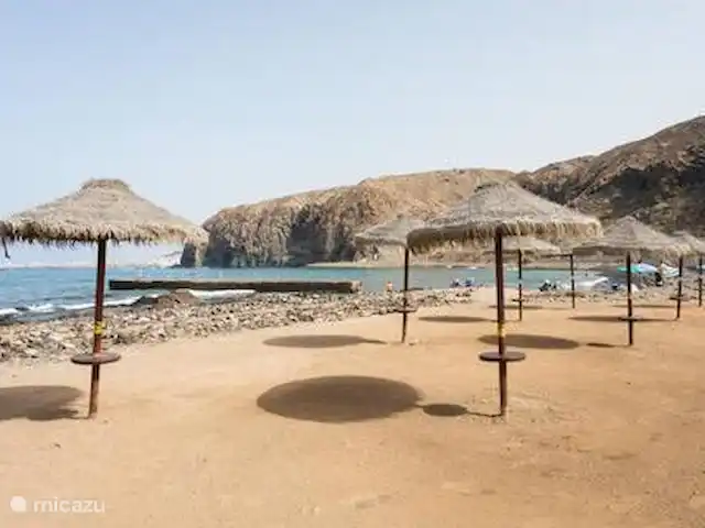 Pura Vida | Espagne, Tenerife, Arona - appartement Chiringuito bar de plage Palm-Mar
