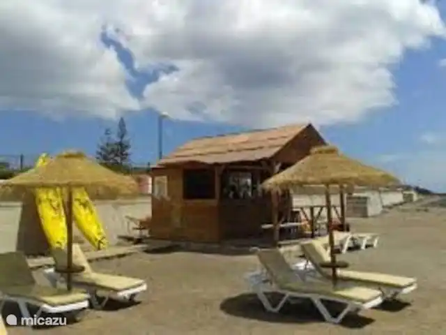 Pura Vida | Espagne, Tenerife, Arona - appartement Chiringuito bar de plage Palm-Mar