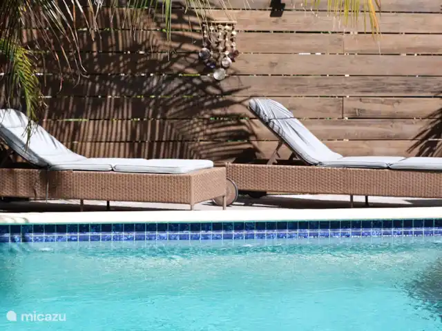 Appartements N-Joy | Appartement 1 | Curaçao, Banda Ariba (est), Brakkeput Mei - appartement De jolis transats au bord de la piscine