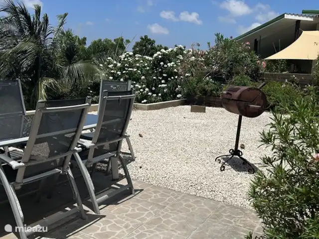 Appartements N-Joy | Appartement 1 | Curaçao, Banda Ariba (est), Brakkeput Mei - appartement La terrasse commune sur le toit
