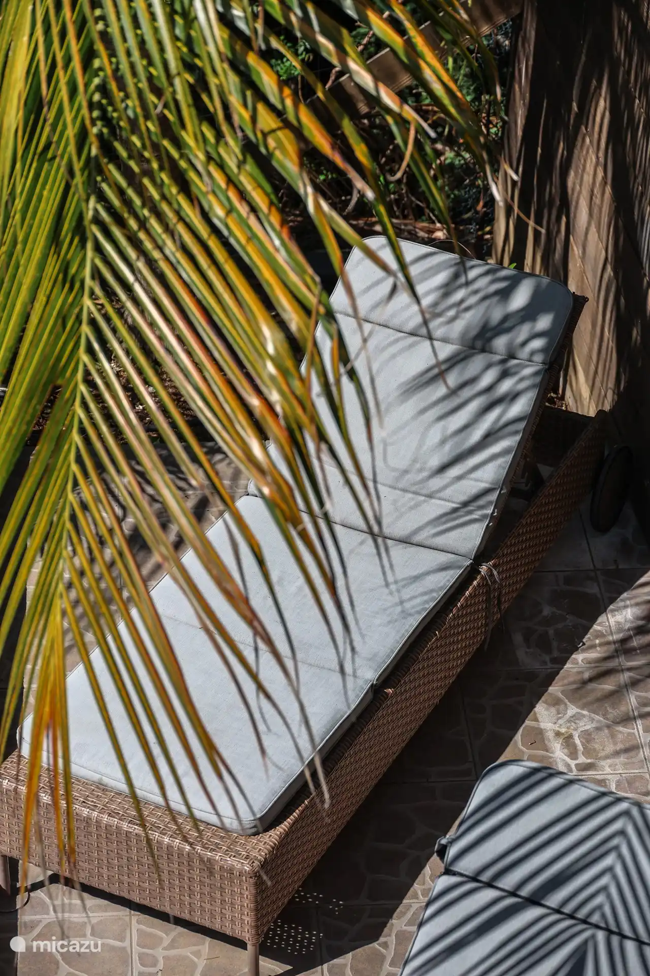 Profitez du soleil, du bruit des palmiers et des oiseaux tropicaux sur nos transats