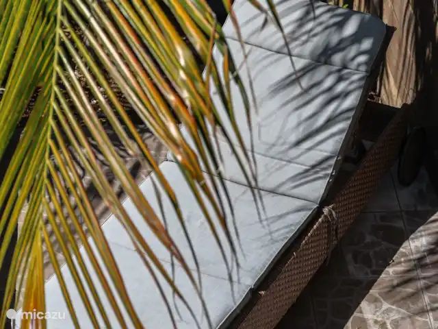 Appartements N-Joy | Appartement 1 | Curaçao, Banda Ariba (est), Brakkeput Mei - appartement Profitez du soleil, du bruit des palmiers et des oiseaux tropicaux sur nos transats