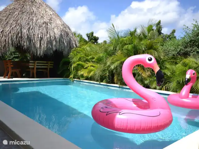 Appartements N-Joy | Appartement 1 | Curaçao, Banda Ariba (est), Brakkeput Mei - appartement La piscine communale