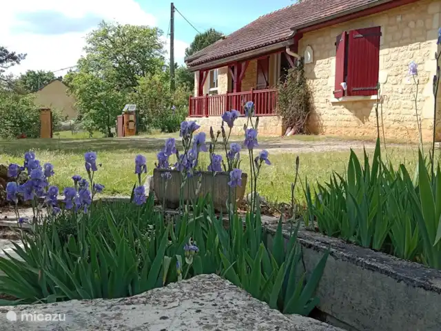 Laviganne huren in Frankrijk, Lot, Le Vigan - vakantiehuis Een tuin vol bloemen