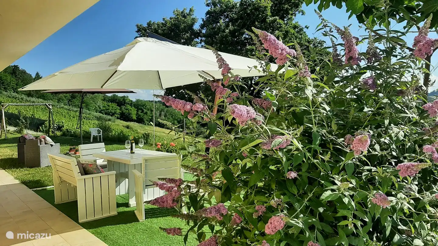 view of the surroundings from the terrace of the apartment