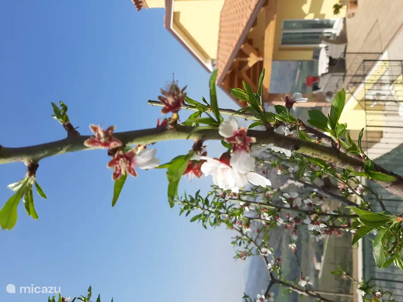 This is the place where we raised our children, and where they flew out. Pampering and hospitality is in the Italian tradition. BENVENUTI nella casa La Mimosa