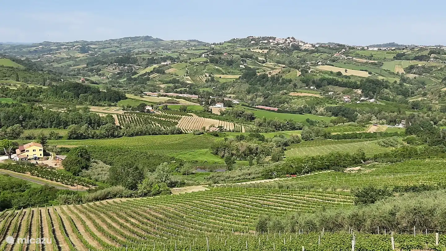 The view from the terrace