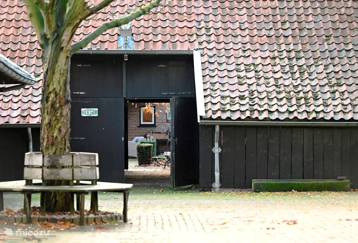 Innenhof hinter dem Haus mit Zugang zum Ponystall