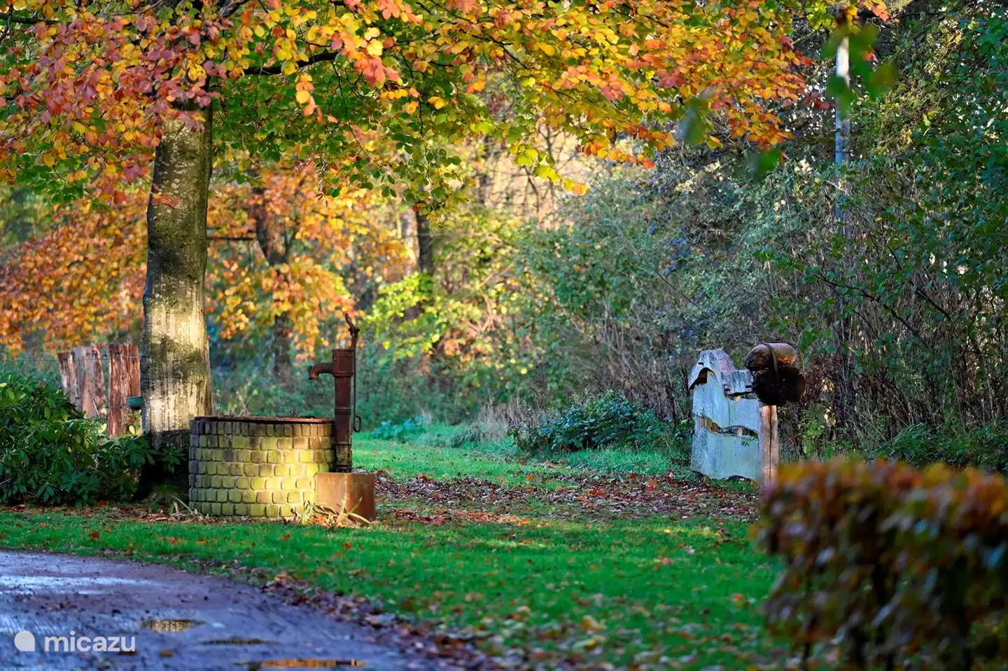 Rückseite des Hauses
