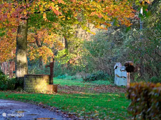 La cour intérieure | Pays-Bas, Overijssel, Vriezenveen - maison de vacances Derrière la maison