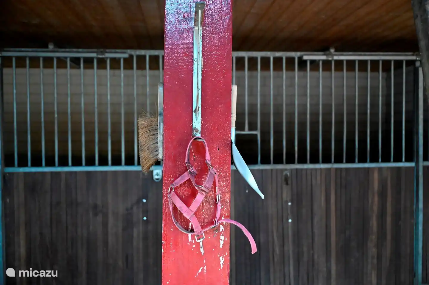 Stall, wo nachts die Ponys sind