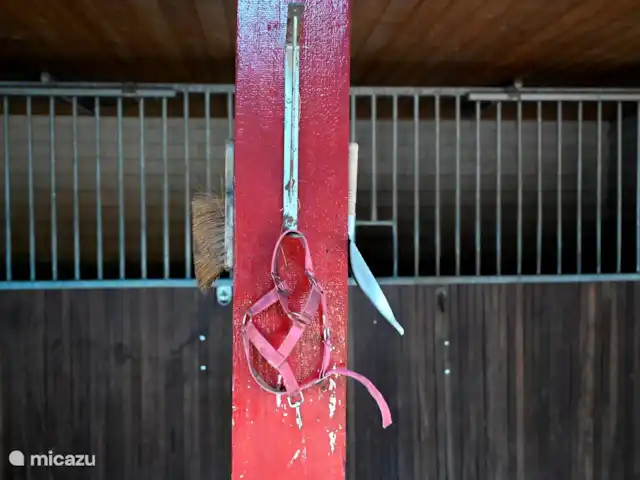 La cour intérieure | Pays-Bas, Overijssel, Vriezenveen - maison de vacances Écurie où les poneys sont gardés la nuit