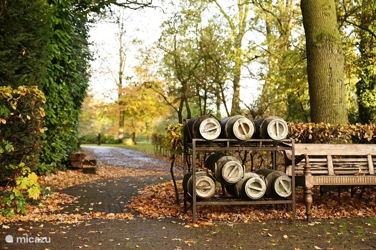 Rückseite des Hauses