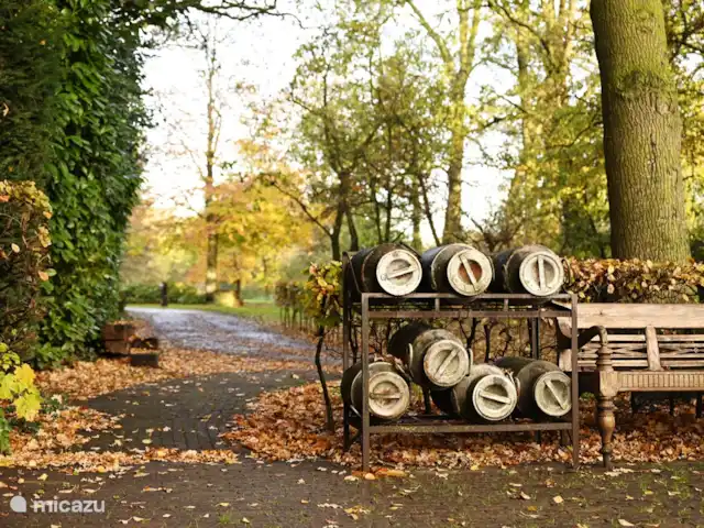 La cour intérieure | Pays-Bas, Overijssel, Vriezenveen - maison de vacances Derrière la maison