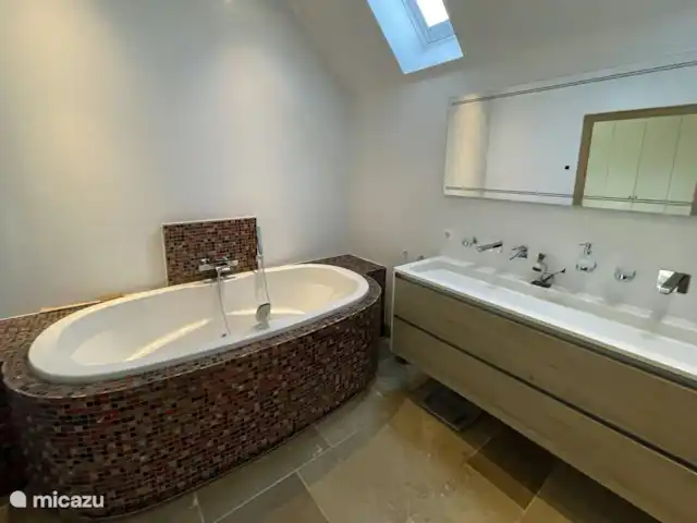 La cour intérieure | Pays-Bas, Overijssel, Vriezenveen - maison de vacances 1ère salle de bain au rez-de-chaussée avec bain