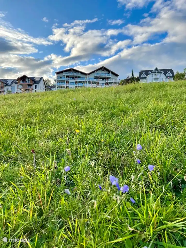 Beautiful view over the Wiese 