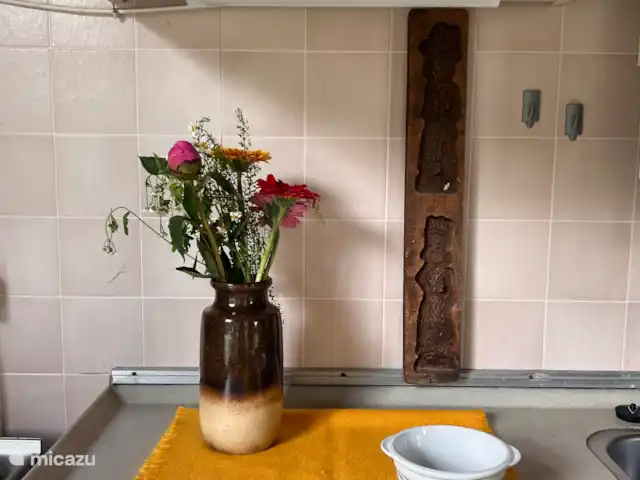Huisje Madelief | Pays-Bas, Hollande du Nord, Julianadorp aan Zee - bungalow