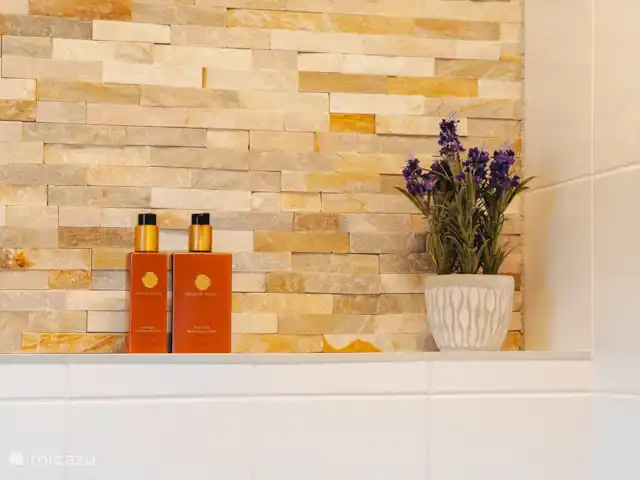 Burbuja en las pistas en Austria, Carintia, Kötschach-Mauthen - chalet baño dormitorio principal 1.