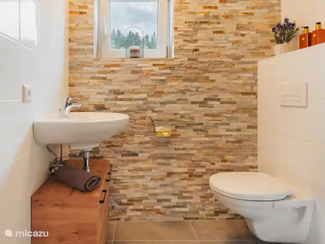 Burbuja en las pistas en Austria, Carintia, Kötschach-Mauthen - chalet baño 2.