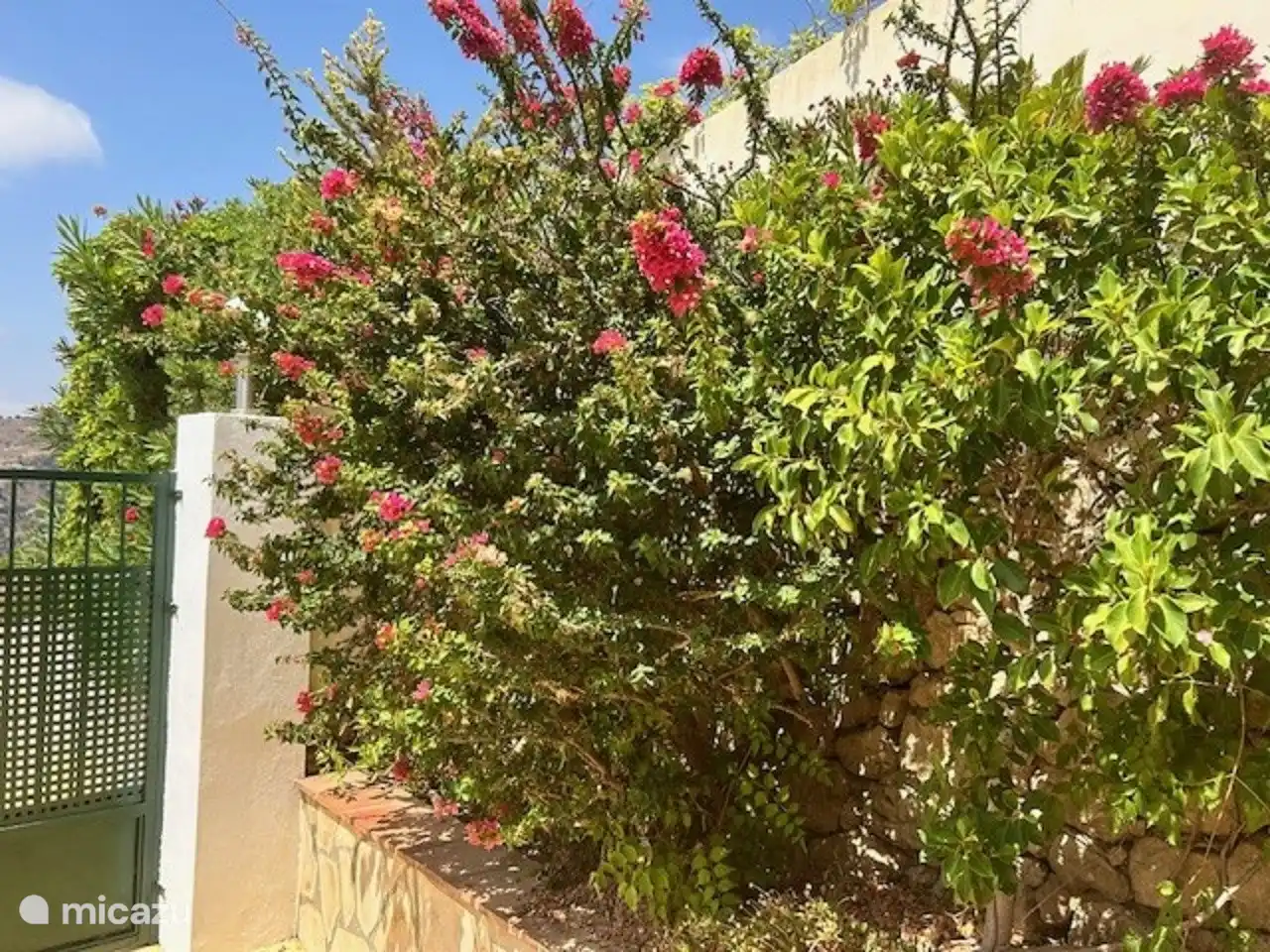 Cour avant et stationnement.