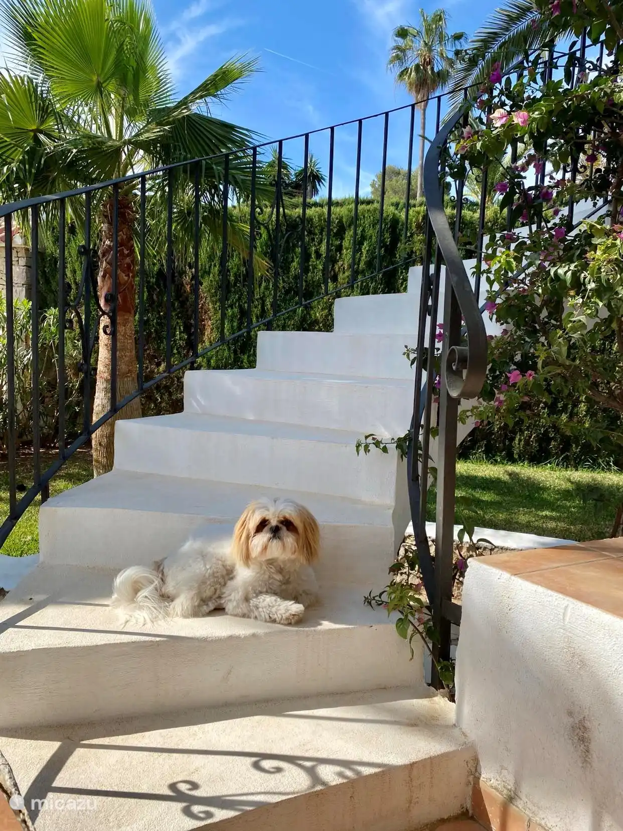 Treppe zur Dachterrasse 
