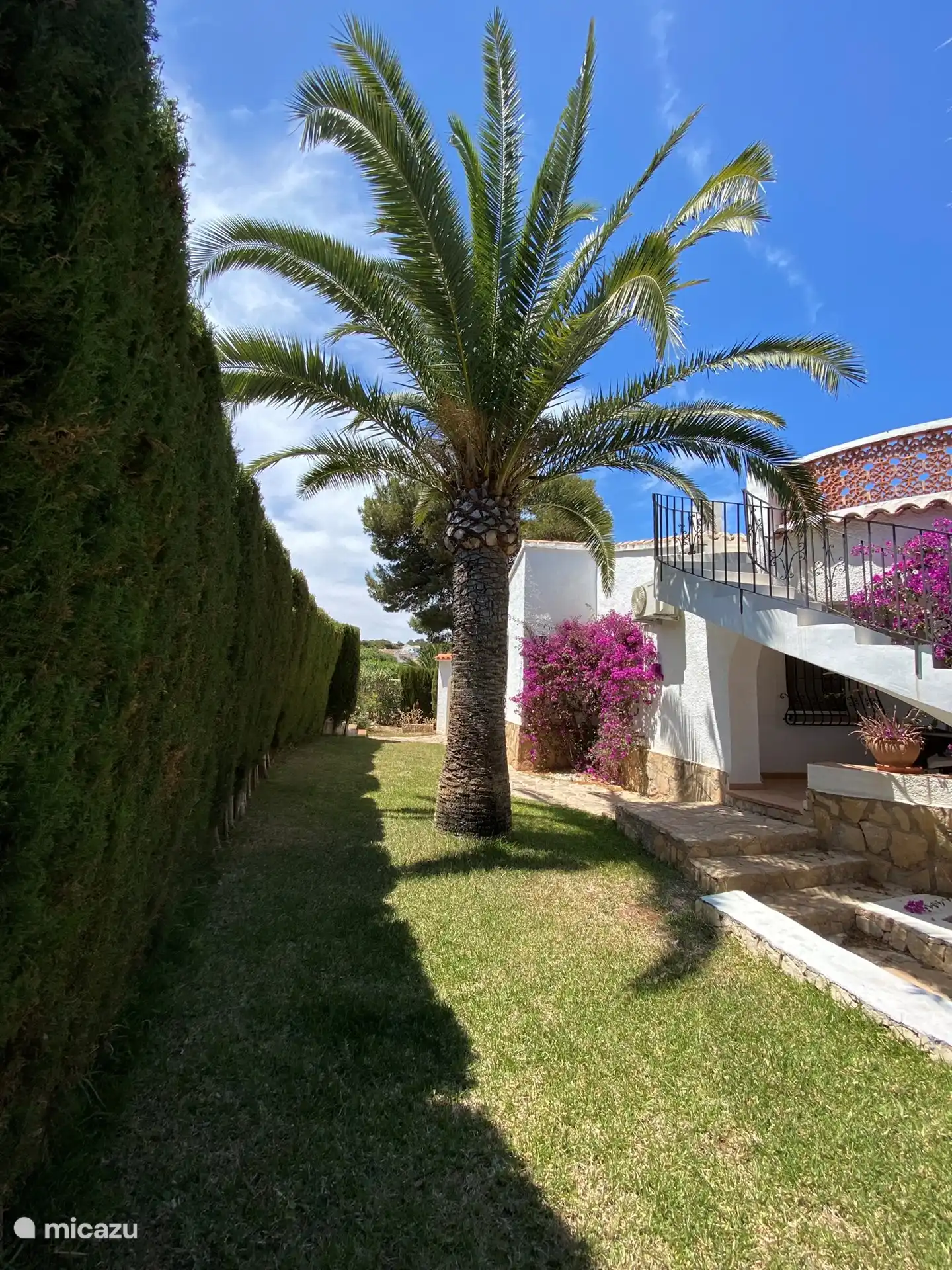 Rückseite des Gartens