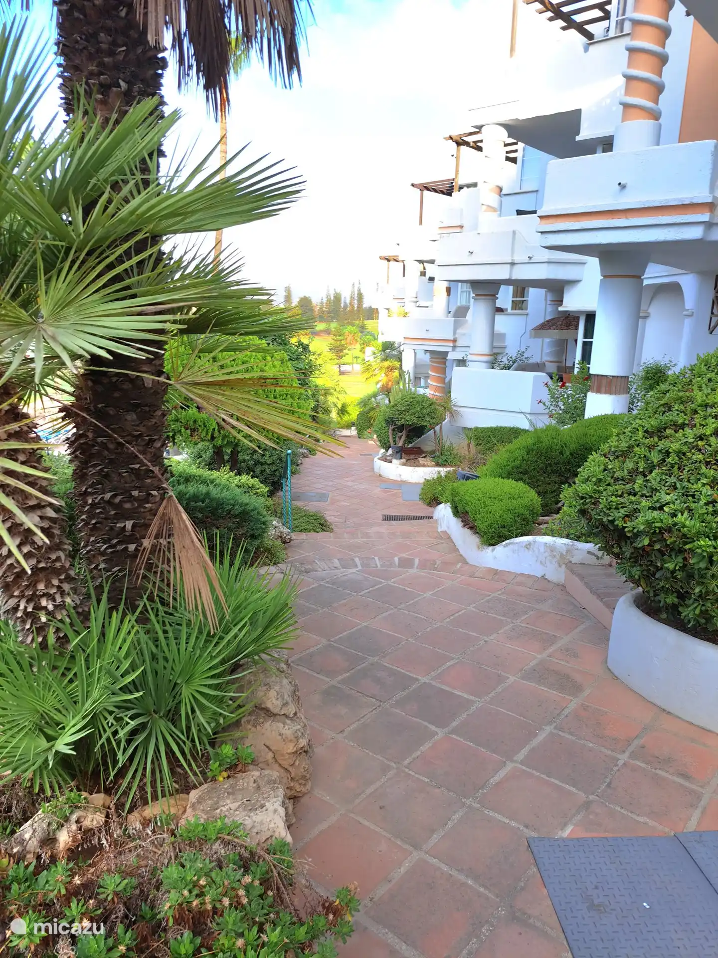 Der tropisch angelegte Garten