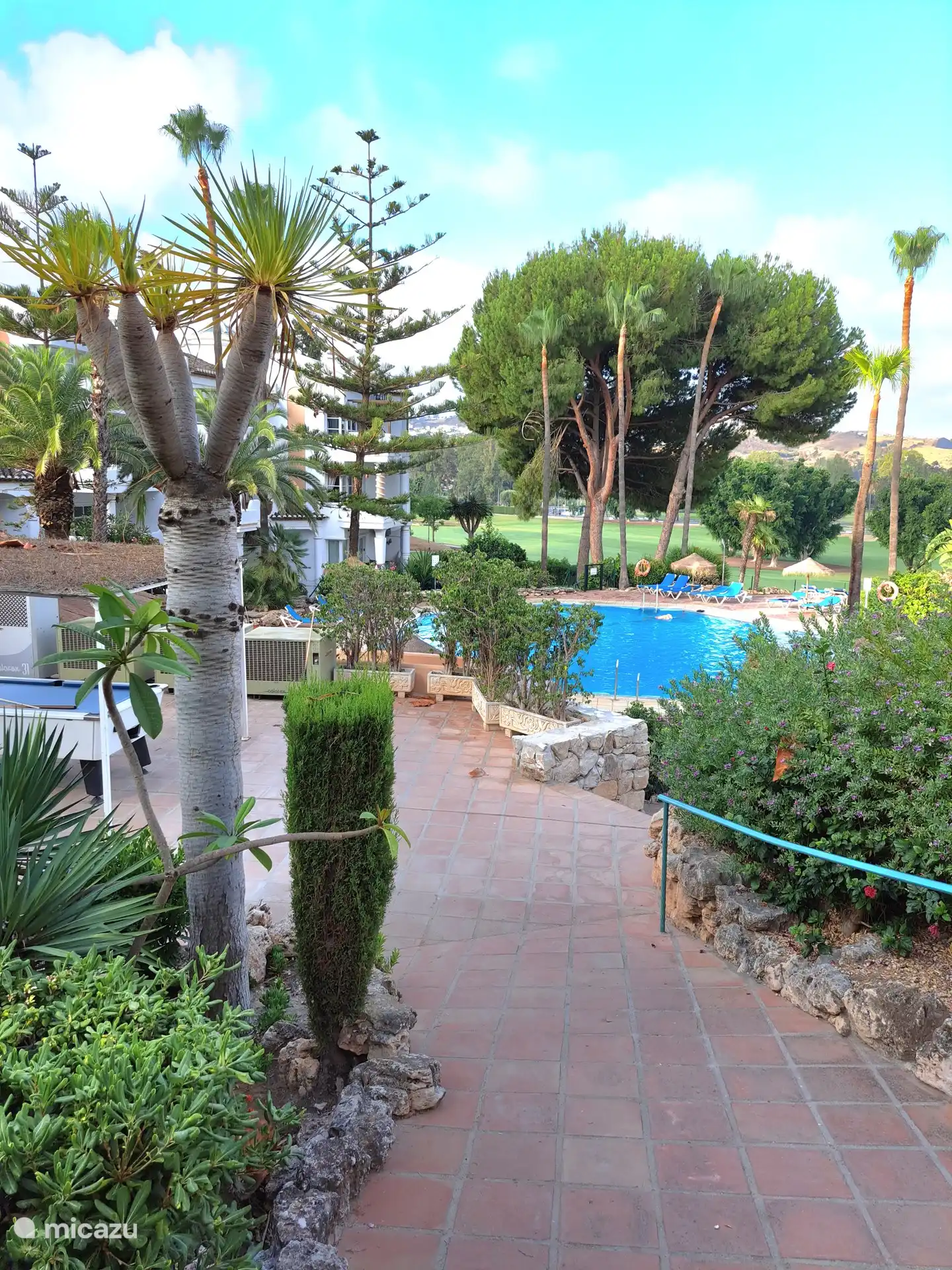 Der Garten und das Schwimmbad