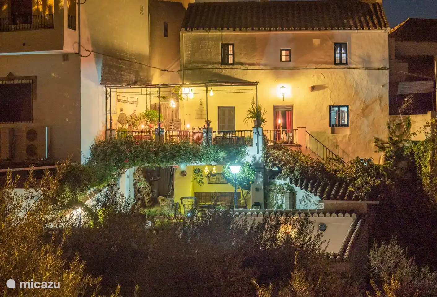 Rückansicht von Terrassen voller blühender Pflanzen