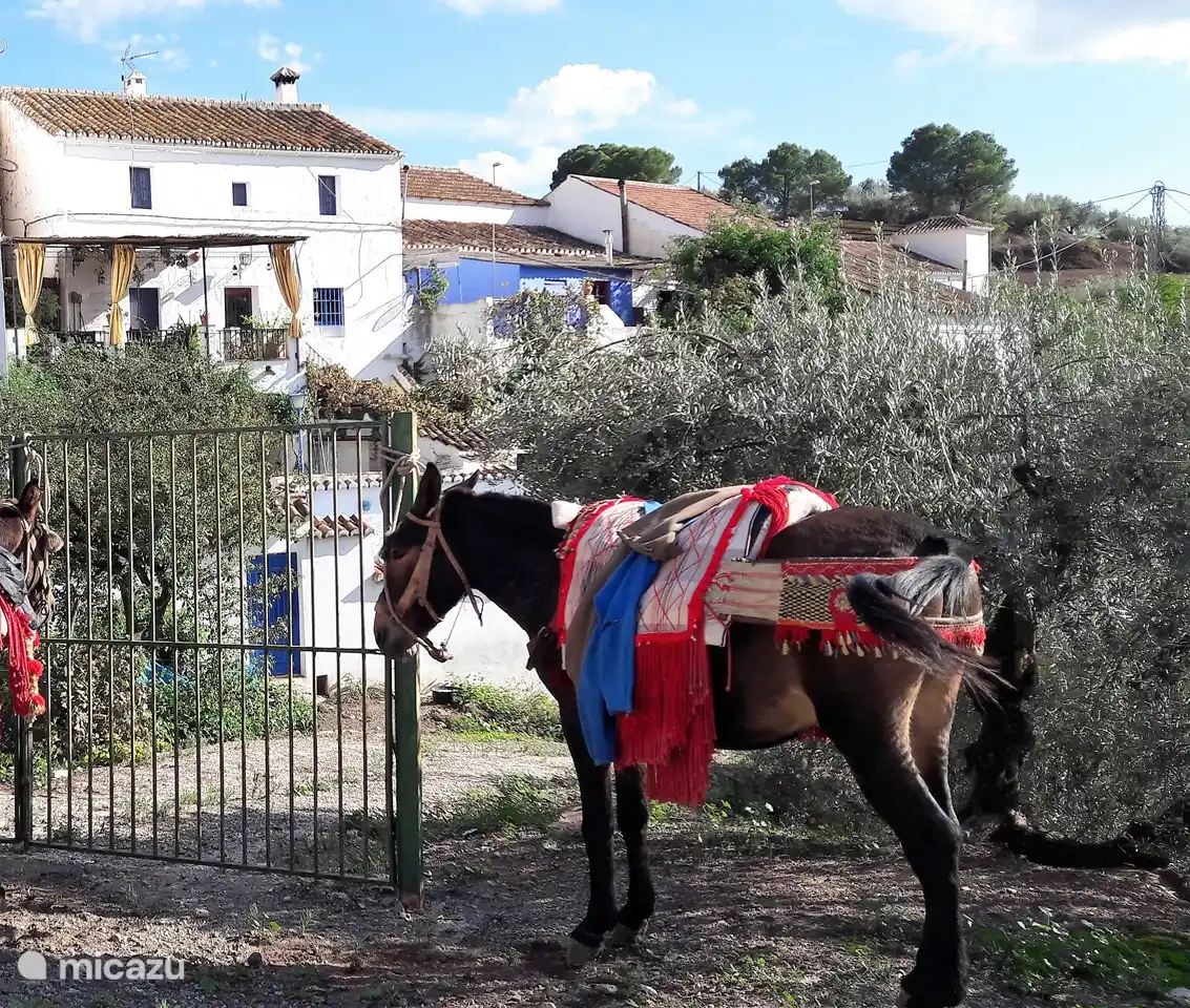 Typische Landansicht