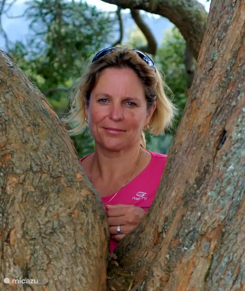 Chantal & Eric Fournier Konijn