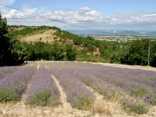 Le beau verger | France, Drôme, Souspierre - bungalow