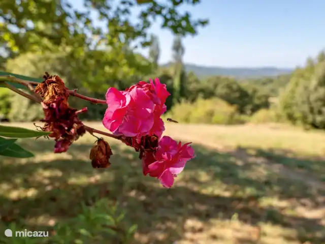 Le beau verger | France, Drôme, Souspierre - bungalow