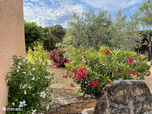 villa huren in Frankrijk, Vaucluse, Saint-Saturnin-lès-Apt – L'EDEN land met bloemen en bomen (oleanders, olijfbomen, cades, moerbeiplatanen, steeneiken,