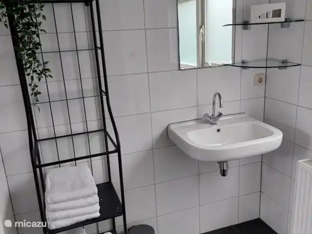 Cabaña con Jacuzzi No. 18 en Países Bajos, Güeldres, Putten - casa vacacional Baño con ducha, lavabo, lavadora y juego de toallas por persona.