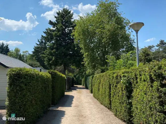 Cabaña con Jacuzzi No. 18 en Países Bajos, Güeldres, Putten - casa vacacional Ubicado en un pequeño parque tranquilo.