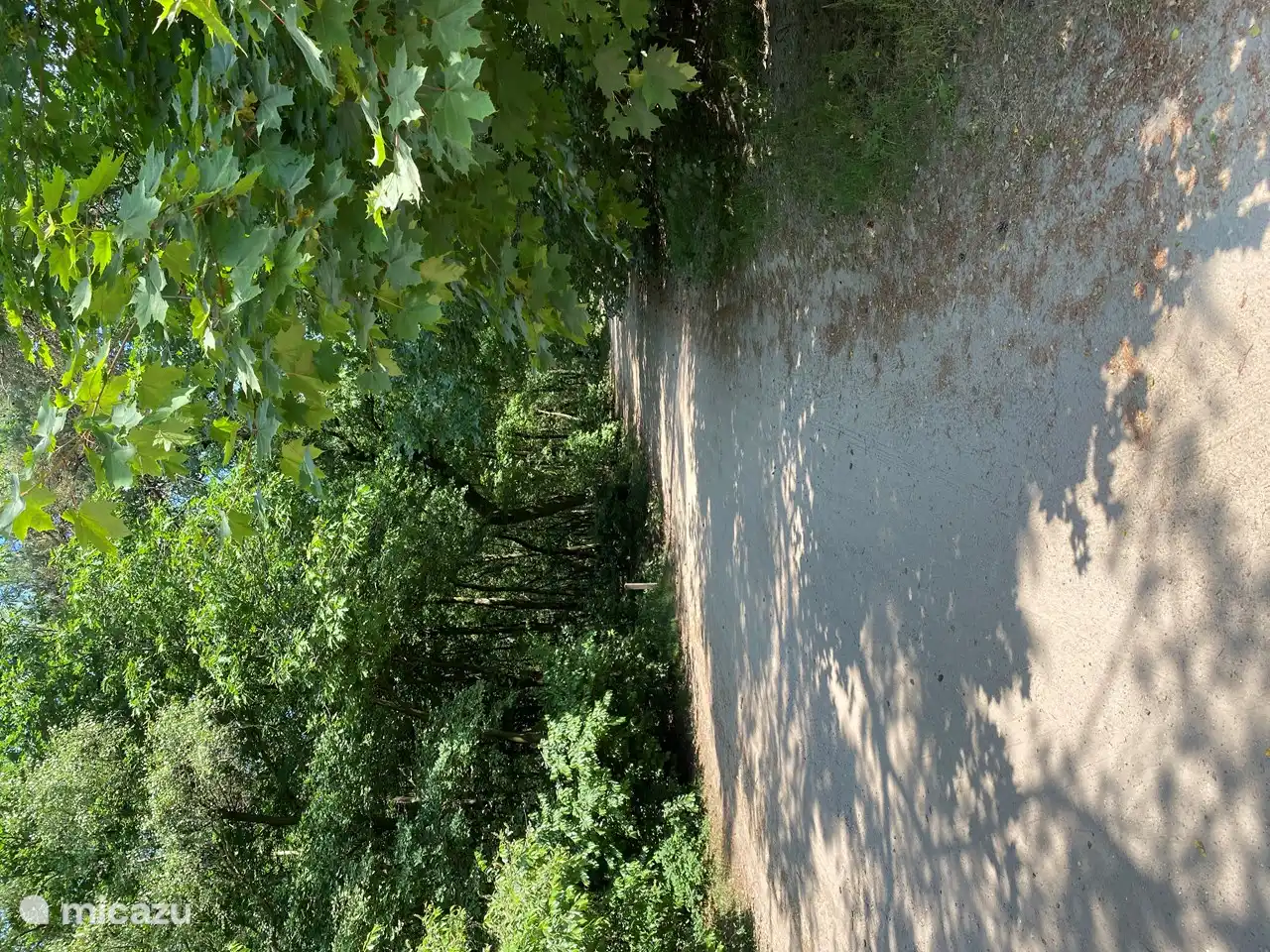 Schöne Wanderungen und Radtouren im Wald