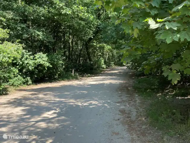 Cabaña con Jacuzzi No. 18 en Países Bajos, Güeldres, Putten - casa vacacional Encantador caminar y andar en bicicleta en el bosque.