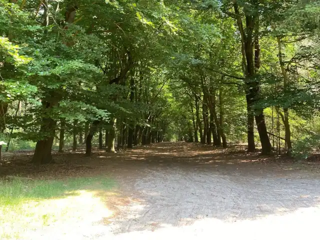 Cabaña con Jacuzzi No. 18 en Países Bajos, Güeldres, Putten - casa vacacional En el Veluwe