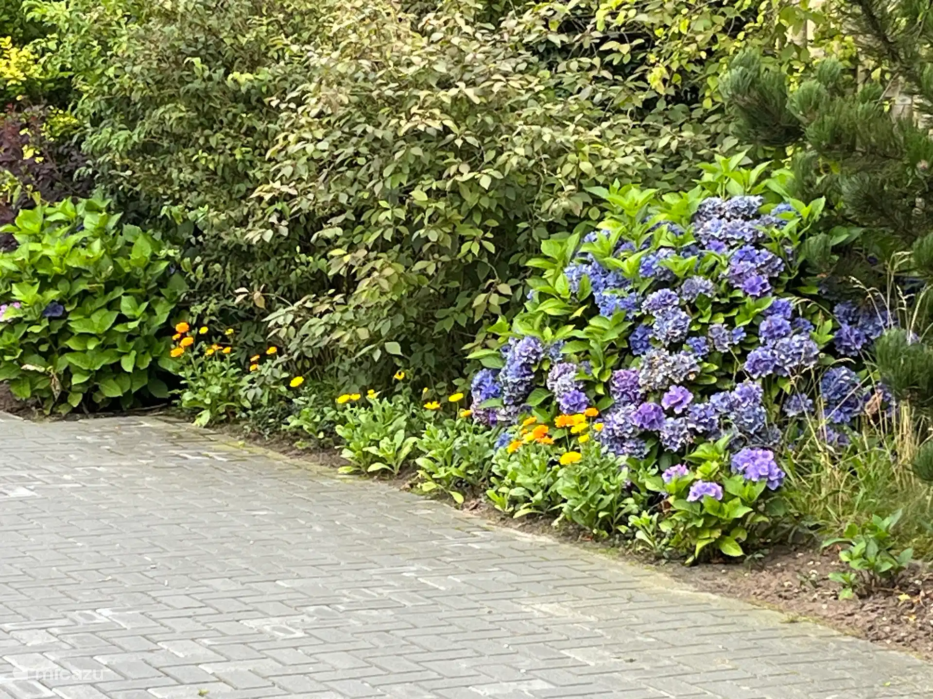 Een variatie aan bloemen en planten, en prachtige borders