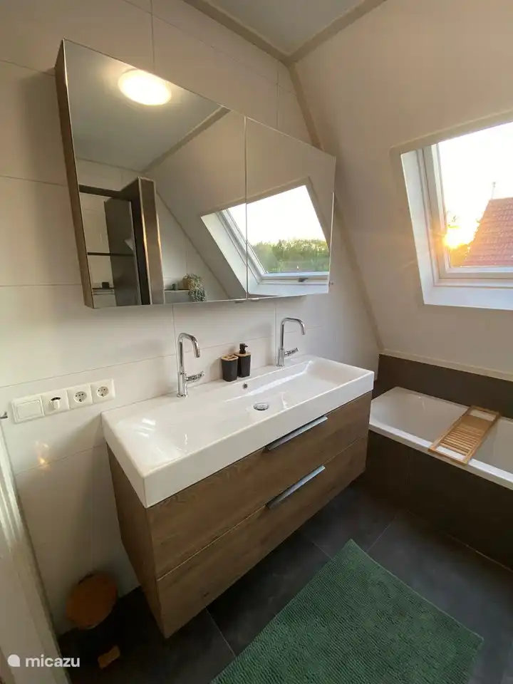 grote wastafel met twee kranen en spiegelkast