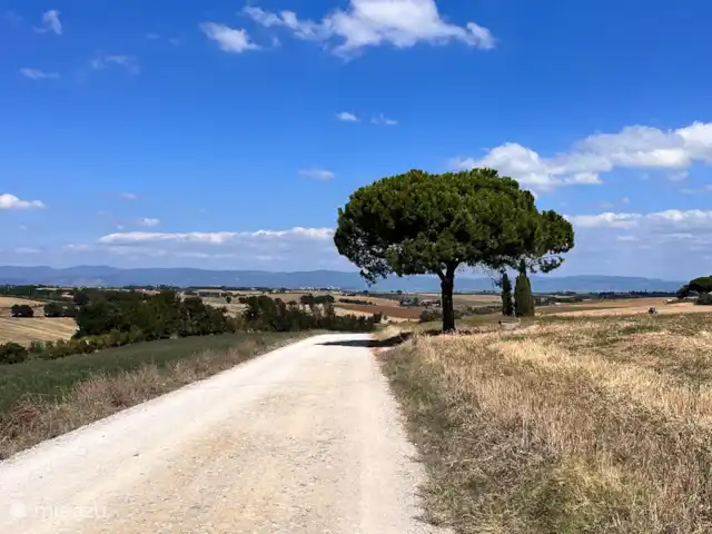 Fietsen, Italië, Umbrië, Castiglione Del Lago, appartement La Casa Terra Dei Sogni Omgeving