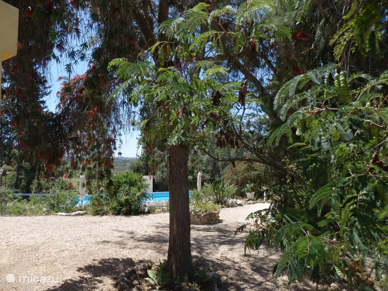 en todas partes vista de la piscina