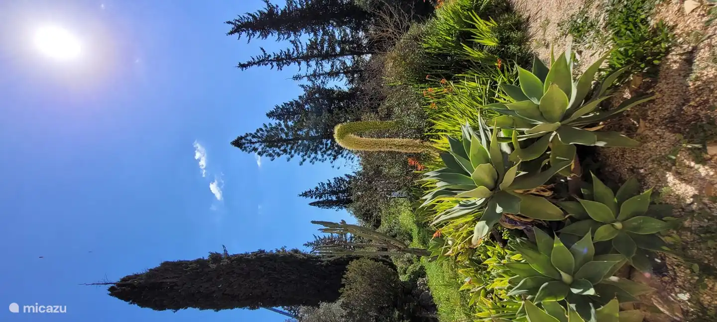 jardin maduro, 3500 mts!