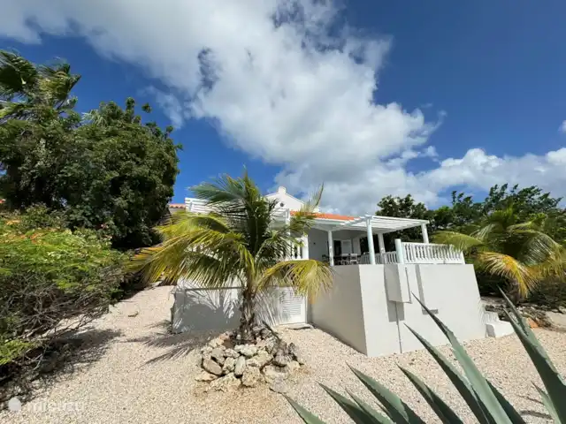 Cas Horizon | Curaçao, Banda Abou (ouest), Coral Estate, Rif St.Marie - villa Des sensations tropicales.