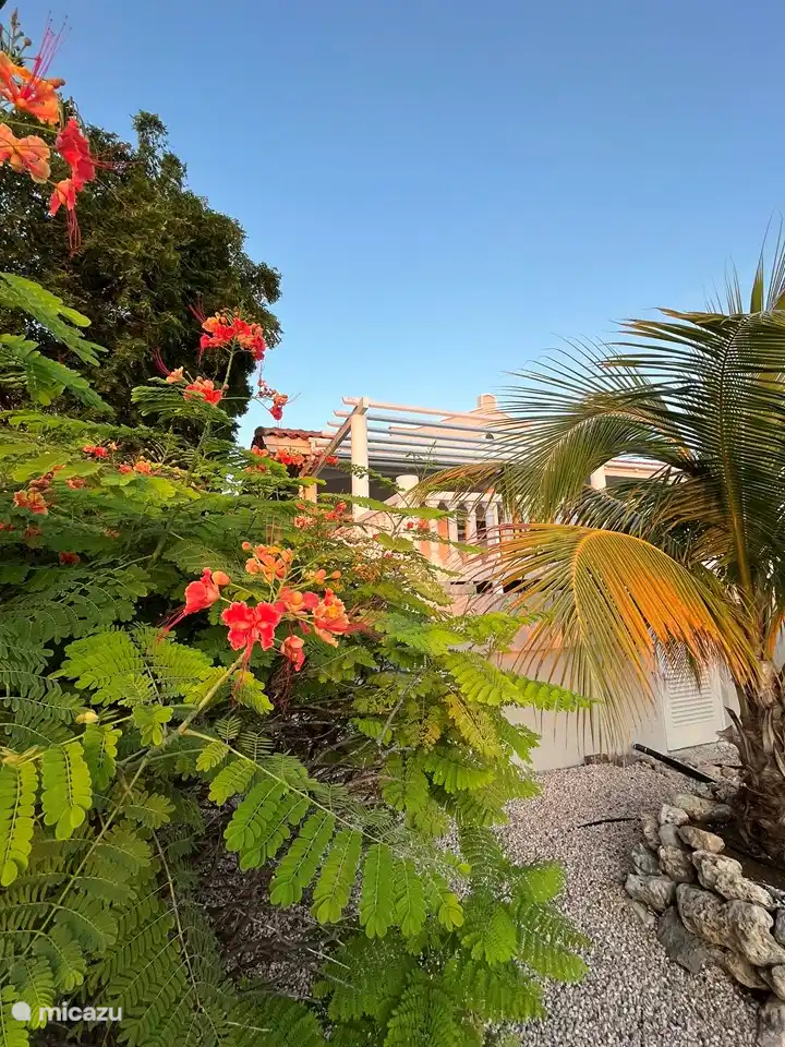 Umgeben von farbenfroher Natur blickt Cas Horzon auf das Meer.