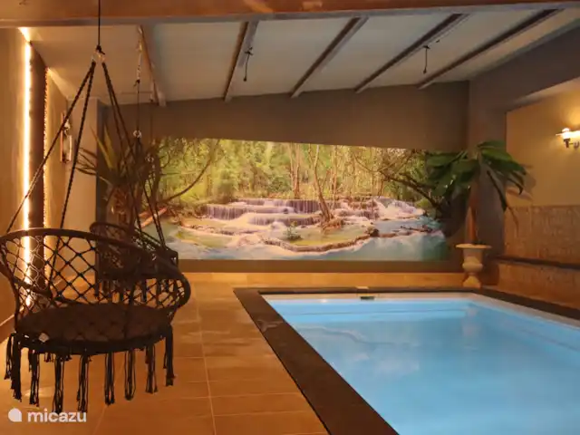 Maison de campagne Waldeifel XL | Allemagne, Eifel, Malberg - manoir / château Piscine avec chaises suspendues