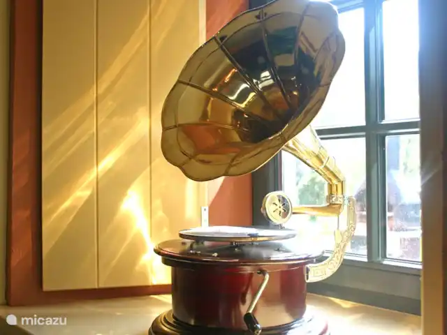 Maison de campagne Waldeifel XL | Allemagne, Eifel, Malberg - manoir / château Gramophone